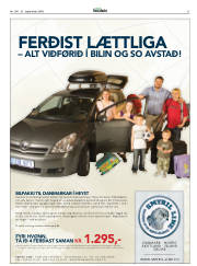 Síða 31