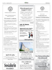Síða 41