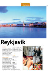 Síða 13