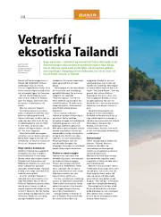 Síða 24