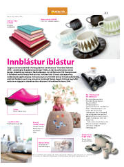 Síða 43