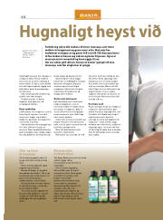 Síða 48