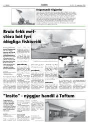Síða 12