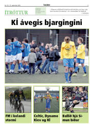 Síða 17