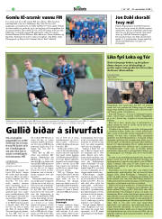 Síða 18