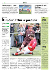Síða 22