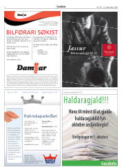 Síða 6