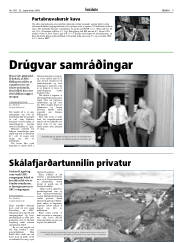 Síða 9