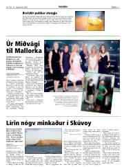 Síða 13