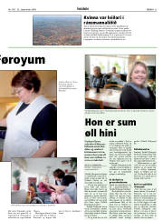Síða 21