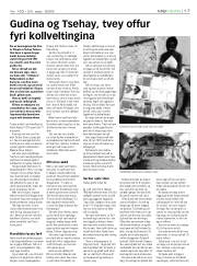 Síða 17