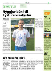 Síða 21