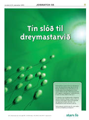 Síða 5