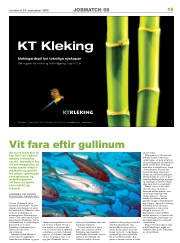 Síða 15