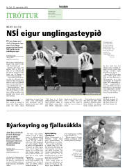 Síða 17