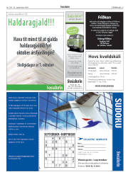 Síða 39