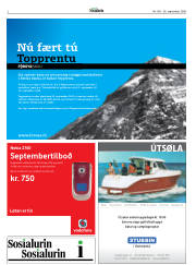 Síða 2
