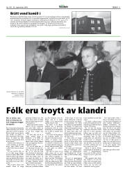 Síða 11