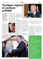 Síða 31