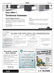 Síða 41