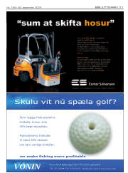 Síða 11