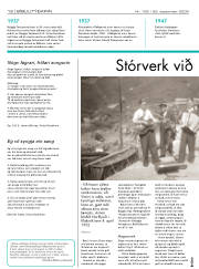 Síða 12
