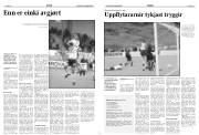 Síða 8