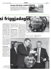 Síða 9