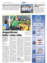 Síða 17