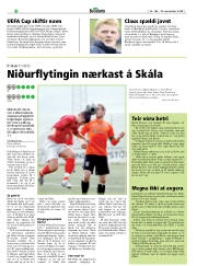 Síða 20
