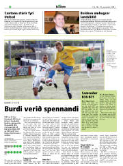 Síða 22