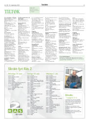 Síða 39