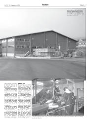 Síða 41