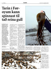 Síða 42