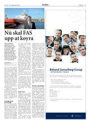 Síða 29