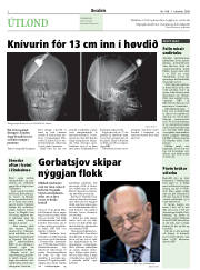 Síða 2