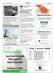 Síða 45