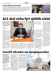 Síða 5