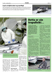 Síða 17