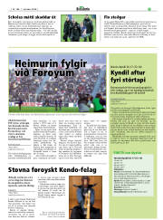 Síða 19