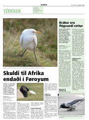 Síða 2
