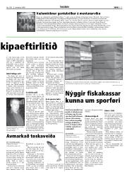 Síða 15