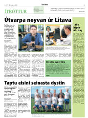 Síða 29
