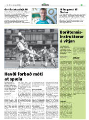 Síða 31