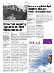 Síða 11