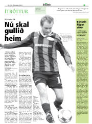 Síða 17
