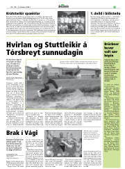 Síða 19