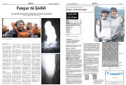 Síða 8