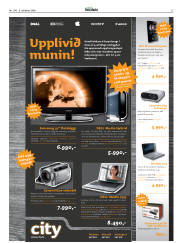 Síða 27