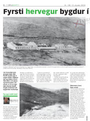 Síða 6